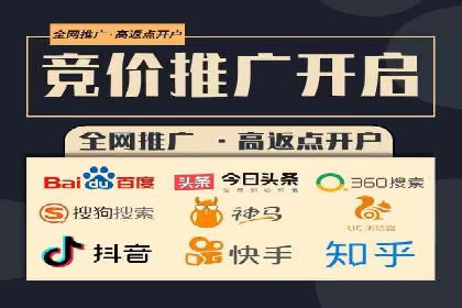 谷歌竞价广告与SEO结合的营销案例解析